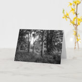 Bossen Bute Park, Cardiff Greetings Kaart (Gele Bloem)