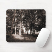 Bossen Bute Park, Cardiff II Muismat (Met muis)