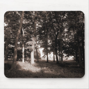 Bossen Bute Park, Cardiff II Muismat