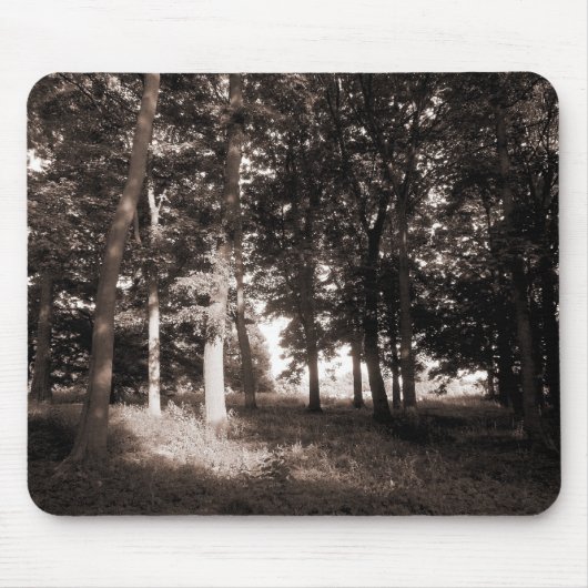 Bossen Bute Park, Cardiff II Muismat (Voorkant)