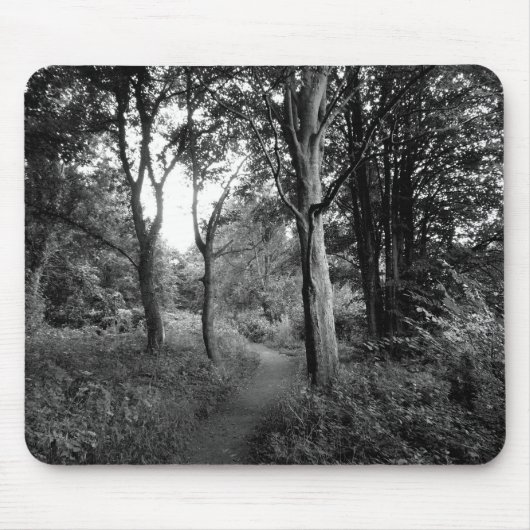 Bossen Bute Park, Cardiff Muismat (Voorkant)