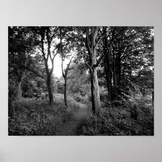 Bossen Bute Park, Cardiff Poster (Voorkant)