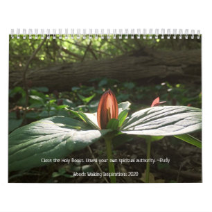 Bossen die Inspiraties 2020 Kalender lopen