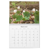 Bossen die Inspiraties 2020 Kalender lopen (Mar 2027)