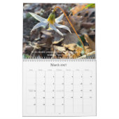 Bossen die Inspiraties 2021 Kalender lopen (Mar 2027)