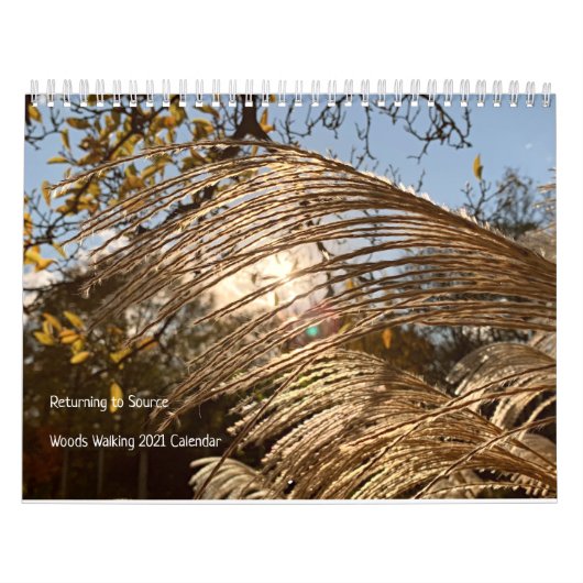 Bossen die Inspiraties 2021 Kalender lopen (Hoes)