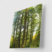 Bossen door het oog van een vis vierkante klok (Hoek)