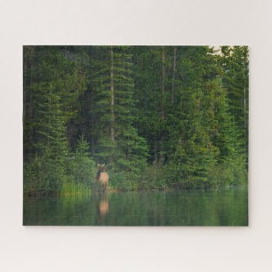 Bossen   Elk in het nationale park Alberta Banff Legpuzzel