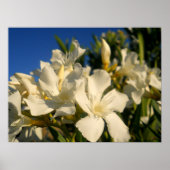 Bossen en blauwe hemden poster (Voorkant)