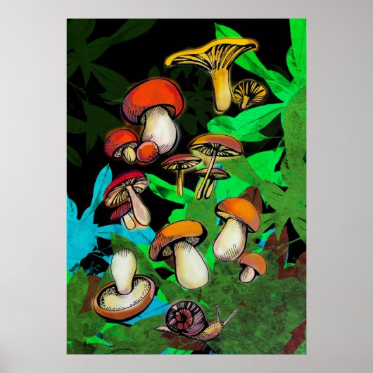 Bossen en paddenstoelen poster (Voorkant)