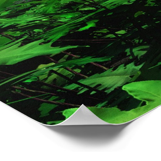 Bossen - Extreme Poster (Hoek)