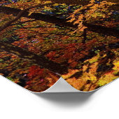 Bossen in auto ' s - poster (Hoek)