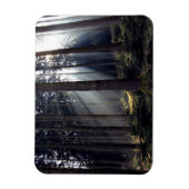 Bossen in Beieren Magneet (Verticaal)