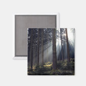 Bossen in Beieren Magneet (Voorkant / Achterkant)