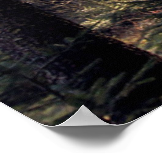 Bossen in Beieren Poster (Hoek)