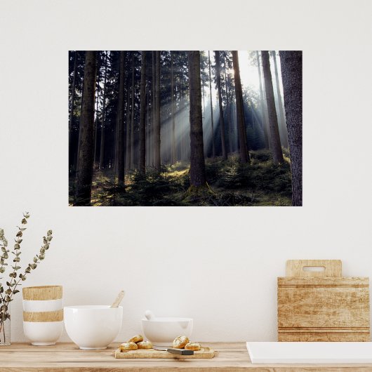 Bossen in Beieren Poster (Keuken)