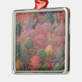 Bossen in de herfst met herfst bladeren.  Algonqui Metalen Ornament (Links)