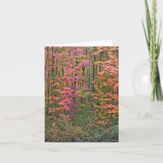 "BOSSEN IN DE HERFST" NOTECARD KAART (Voorkant)
