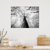 Bossen in de zwarte en witte herfst poster (Keuken)