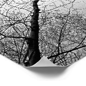 Bossen in de zwarte en witte herfst poster (Hoek)