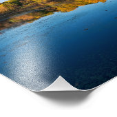 bossen in het marthaler park en reflecties in het  foto afdruk (Hoek)