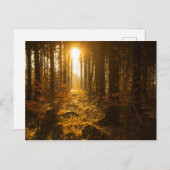 Bossen in het najaar | Baden Württemberg, Duitslan Briefkaart (Voorkant / Achterkant)