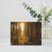 Bossen in het najaar | Baden Württemberg, Duitslan Briefkaart (Staand voorkant)