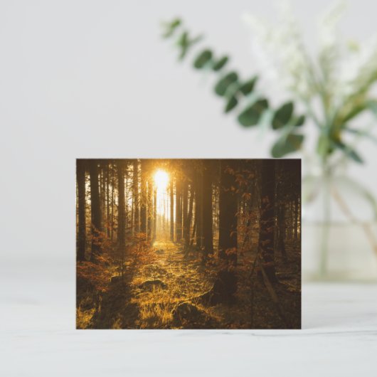 Bossen in het najaar | Baden Württemberg, Duitslan Briefkaart (Staand voorkant)