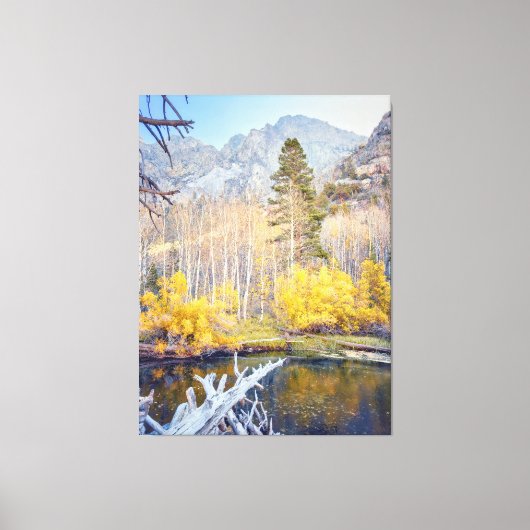 Bossen in het najaar canvas afdruk (Voorkant)