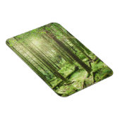 Bossen in het Nationaal Park Killarney | Kerry, Ie Magneet (Rechterzijde)