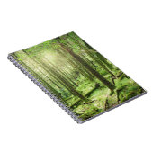 Bossen in het Nationaal Park Killarney | Kerry, Ie Notitieboek (Rechterzijde)