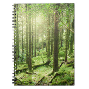 Bossen in het Nationaal Park Killarney   Kerry, Ie Notitieboek
