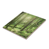 Bossen in het Nationaal Park Killarney | Kerry, Ie Tegeltje (Zijkant)