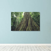 Bossen in het regenwoud, Corcovado Canvas Afdruk (Insitu (Houten vloer))