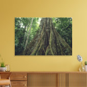 Bossen in het regenwoud, Corcovado Canvas Afdruk (Insitu (Woonkamer))