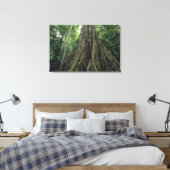 Bossen in het regenwoud, Corcovado Canvas Afdruk (Insitu (Slaapkamer))
