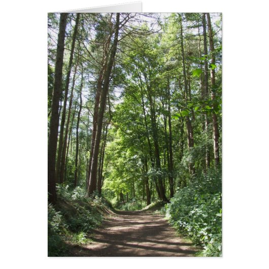 Bossen kaart (Voorkant)