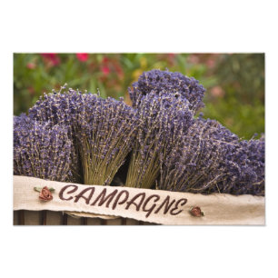 Bossen lavendel te koop, Vence, Provence, Foto Afdruk