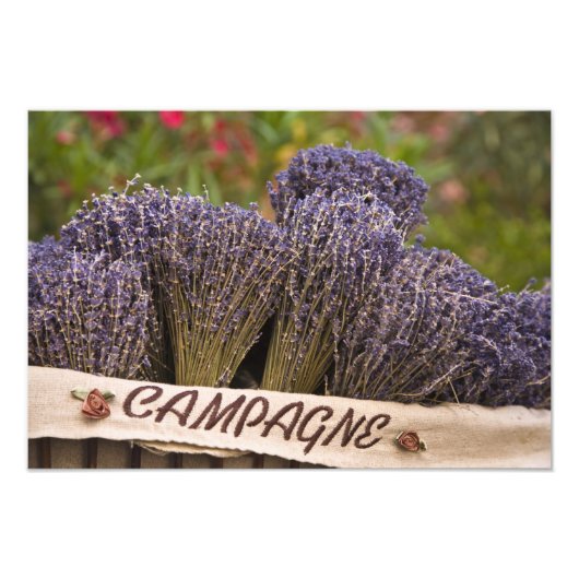 Bossen lavendel te koop, Vence, Provence, Foto Afdruk (Voorkant)