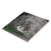 Bossen met fantasy tegeltje (Zijkant)