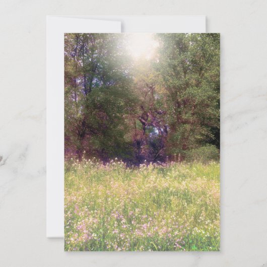 Bossen met houtskool 16 kaart (Achterkant)