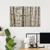 Bossen met ochtendmist achter de bomen poster (Thuiskantoor)