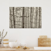 Bossen met ochtendmist achter de bomen poster (Keuken)