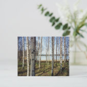 Bossen met sierbomen in Finland Briefkaart (Staand voorkant)