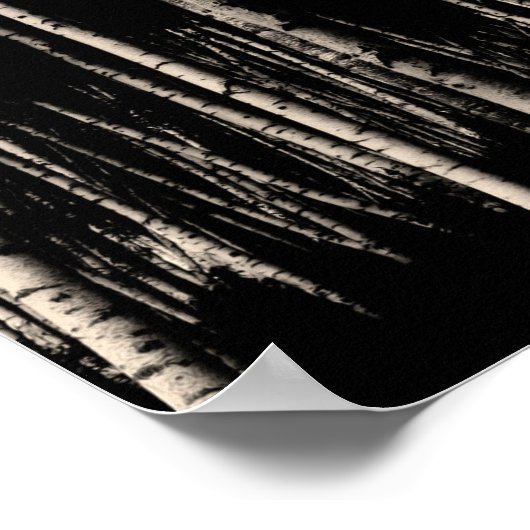 Bossen met vogelbomen in Sepia Poster (Hoek)