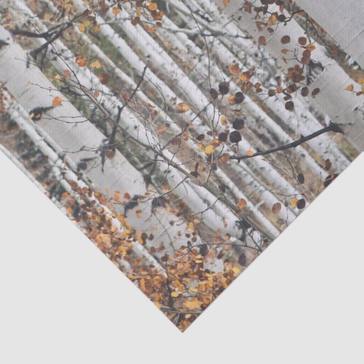 Bossen met vogelbomen tissuepapier (Detail)