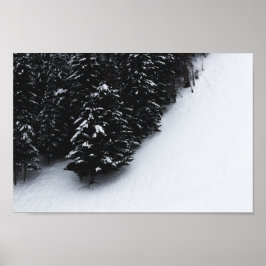Bossen met zwarte en witte sparren en sneeuw poster