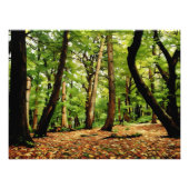 Bossen najaar foto afdruk (Voorkant)