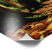 Bossen najaar foto afdruk (Hoek)