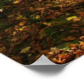 bossen najaar poster (Hoek)